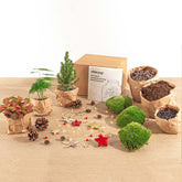 Christmas Plant Terrarium Package - Christmas Kit & Tree - 3 Terrarium Plants - Refill & Starter Package