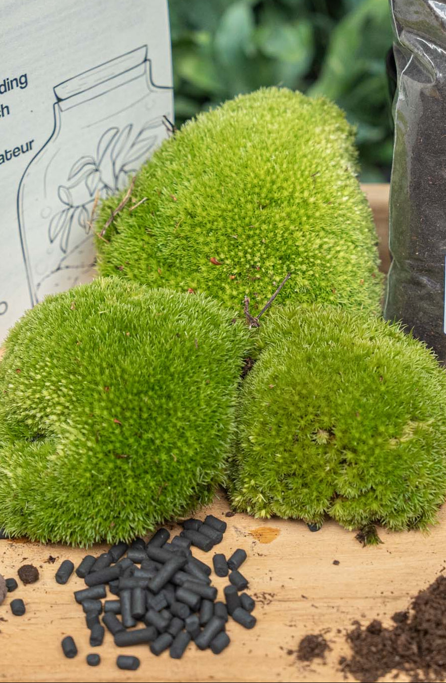 Terrarium Package – Refill & Starter Package – Diy Terrarium Kit – Size L/Xl