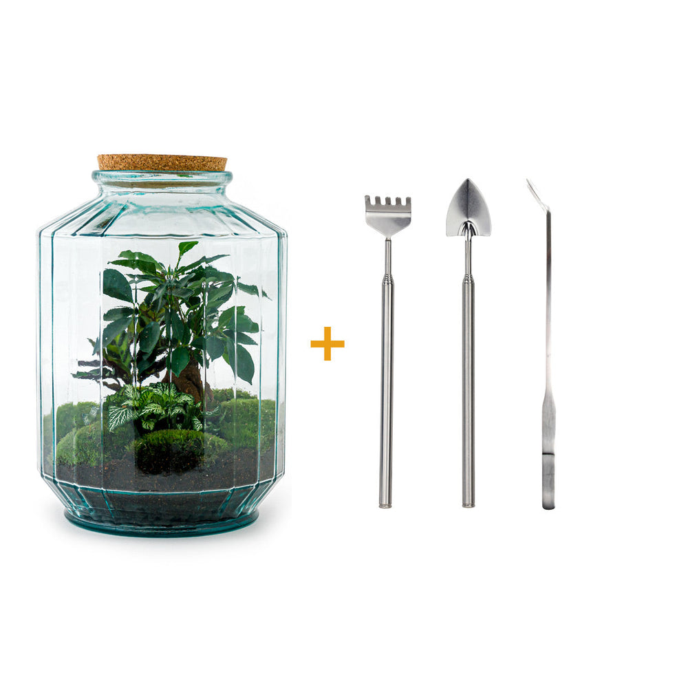 Terrarium Diy Kit - Botanical Garden Xl - Bottle Garden - ↑ 35 Cm