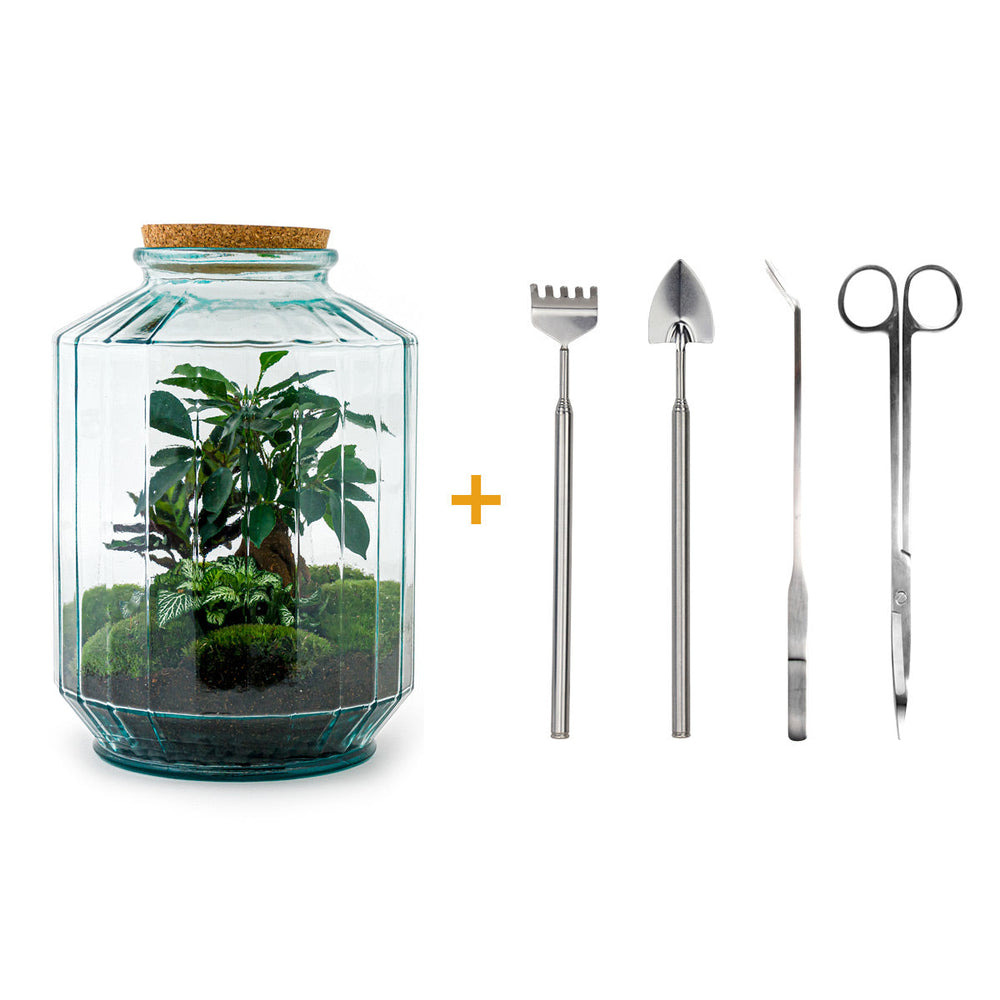 Terrarium Diy Kit - Botanical Garden Xl - Bottle Garden - ↑ 35 Cm
