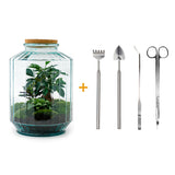 Terrarium Diy Kit - Botanical Garden Xl - Bottle Garden - ↑ 35 Cm