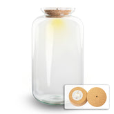 Terrarium With Cork - Sven Xl With Led Light - Closed Terrarium ↑ 43 Cm