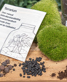 Terrarium Package – Refill & Starter Package – Diy Terrarium Kit – Size S/M