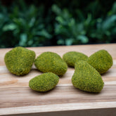Moss Stone Green – Set Of 6 - Artificial Moss