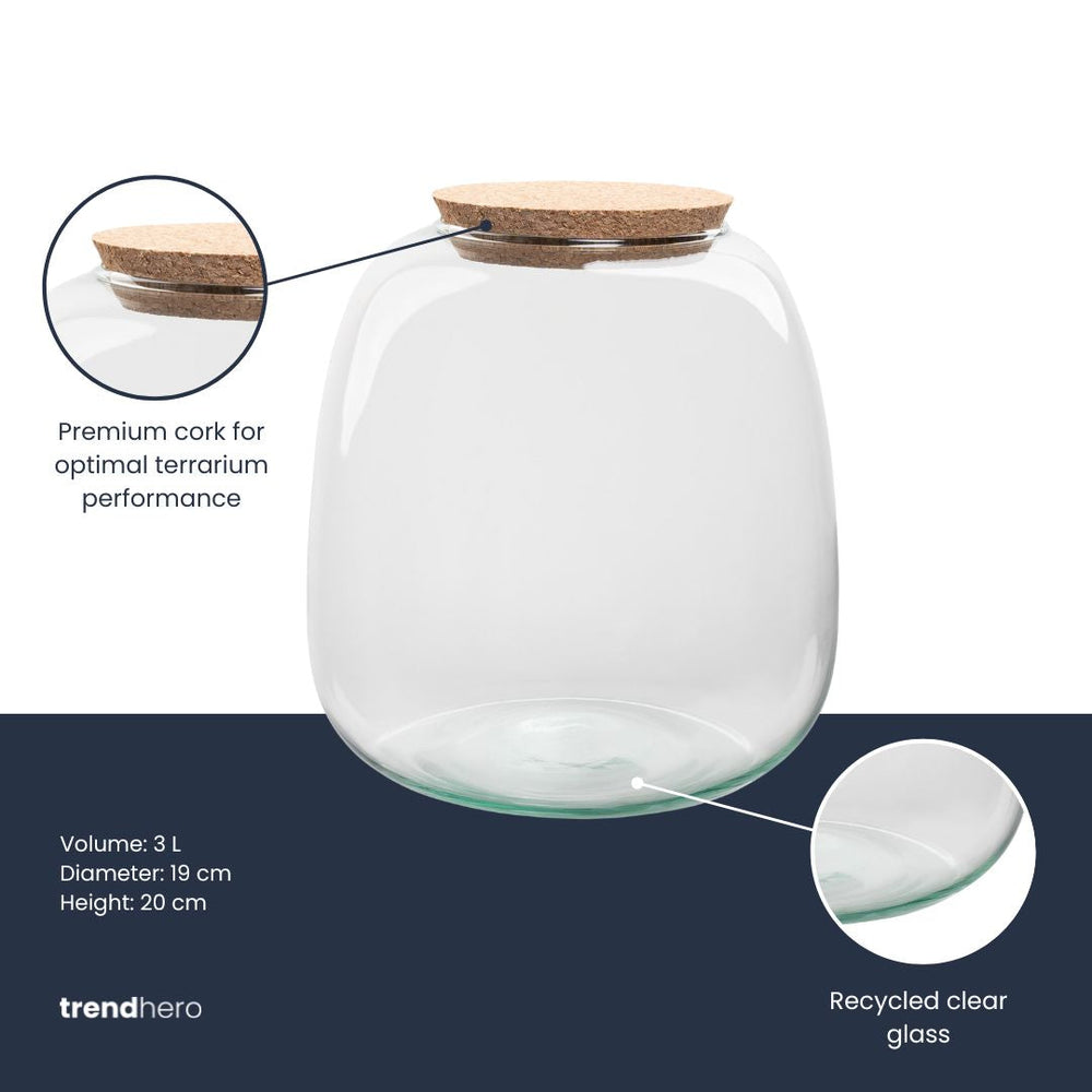 Terrarium Bottle ‘Emma Mini’ With Cork - Closed Terrarium Ø 19 Cm ↑ 20 Cm