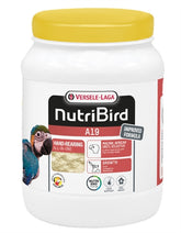 Nutribird A19 Papegaai