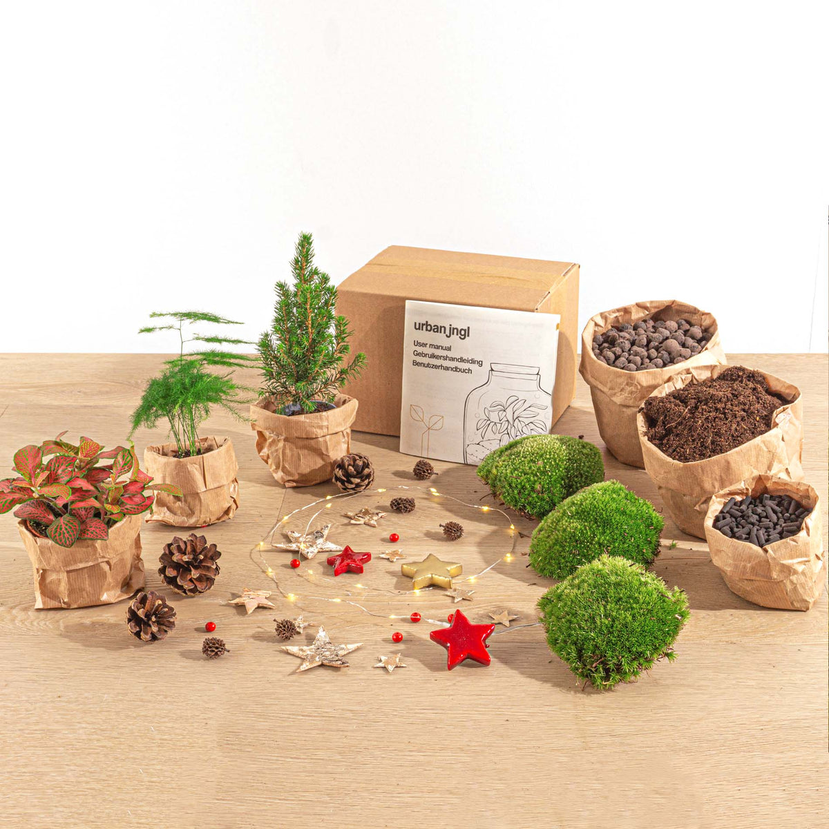 Christmas Plant Terrarium Package - Christmas Kit & Tree - 3 Terrarium Plants - Refill & Starter Package