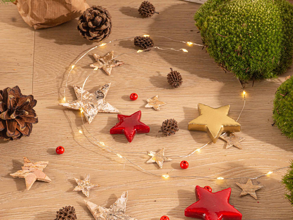 Christmas Plant Terrarium Package - Christmas Kit & Tree - 3 Terrarium Plants - Refill & Starter Package