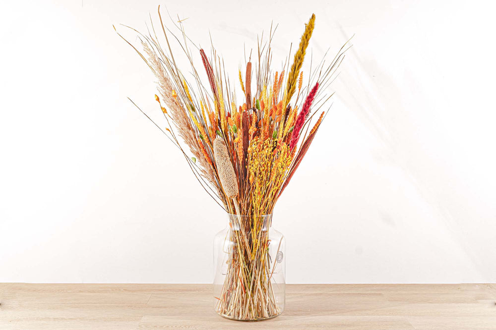 Dried Flowers - Orange Xl - Dried Bouquet - 70Cm