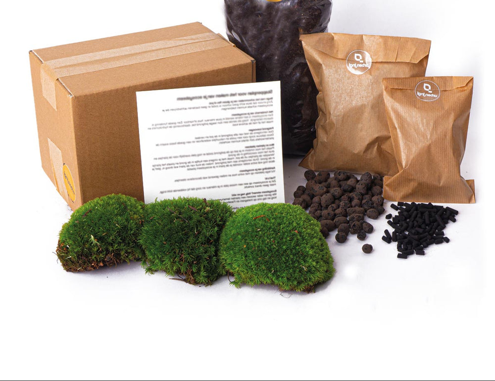 Terrarium Package  – Refill & Starter Package  – Diy Terrarium Kit – Size L/Xl