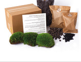 Terrarium Package  – Refill & Starter Package  – Diy Terrarium Kit – Size L/Xl