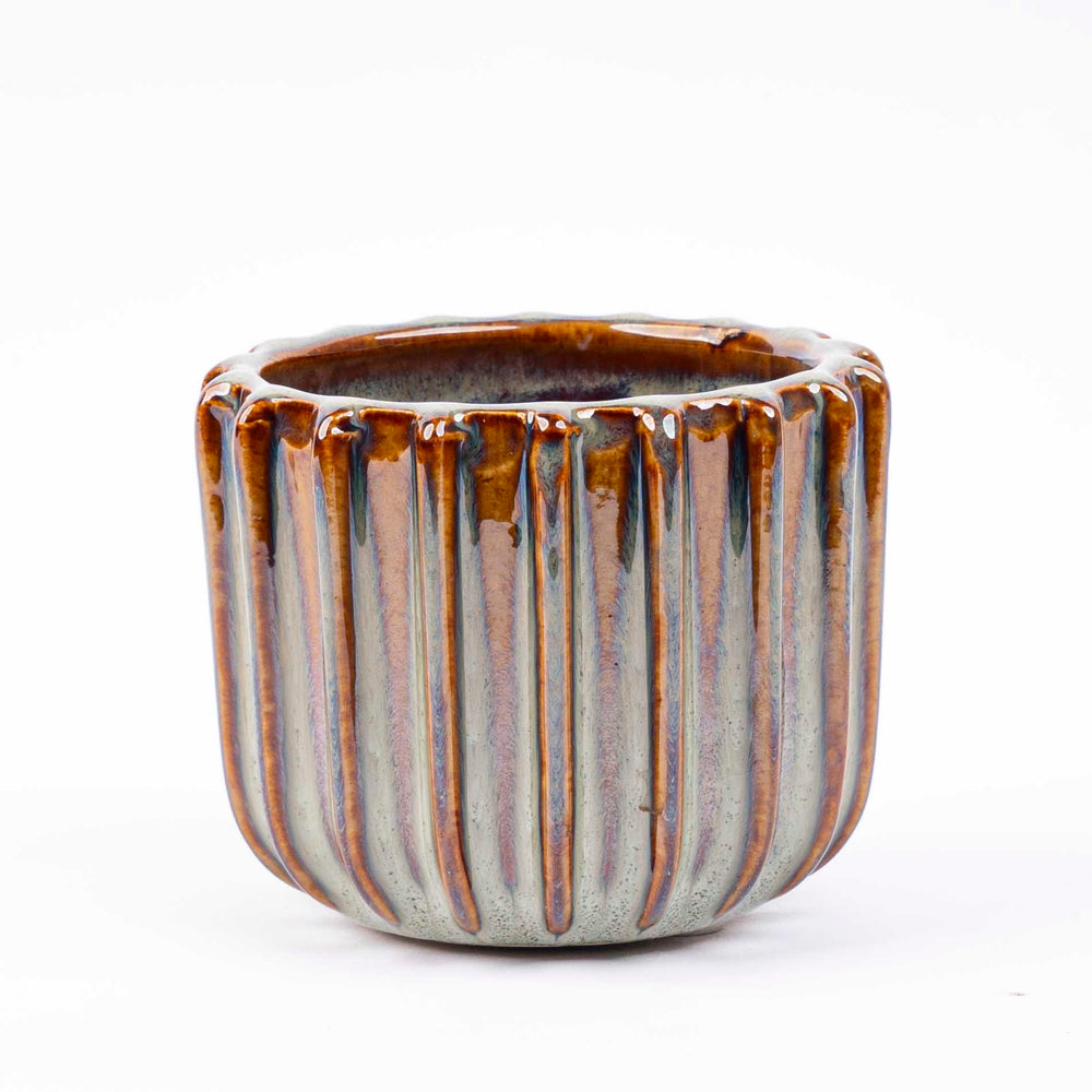 Mini Pot Set 6 - Barcelona