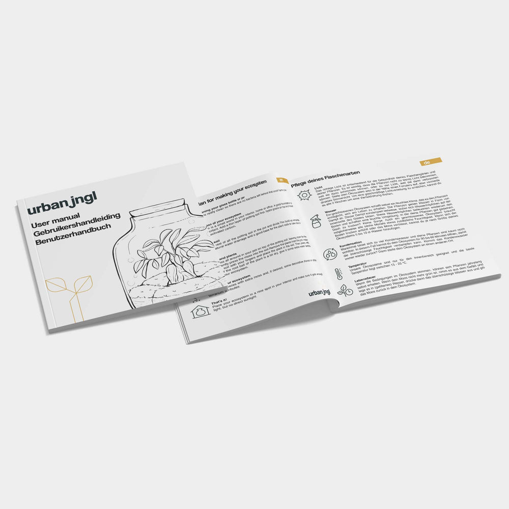 Terrarium Diy Kit - Botanical Garden Xl - Bottle Garden - ↑ 35 Cm