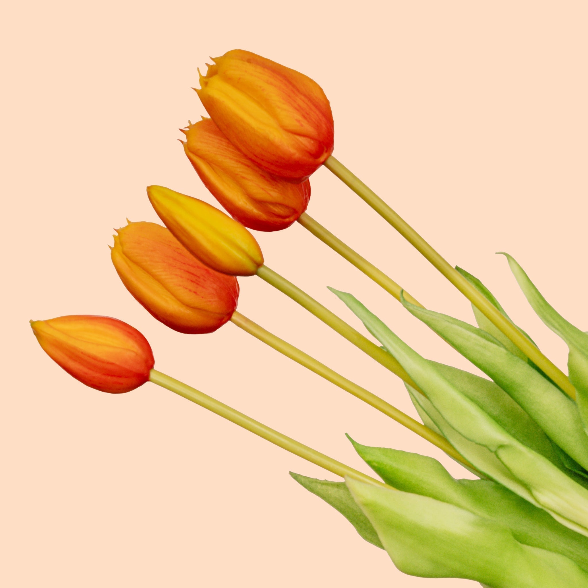 Tulip Bouquet – 5 Pieces – Various Colours – ‘Real Touch’ Artificial Tulips – 42 Cm