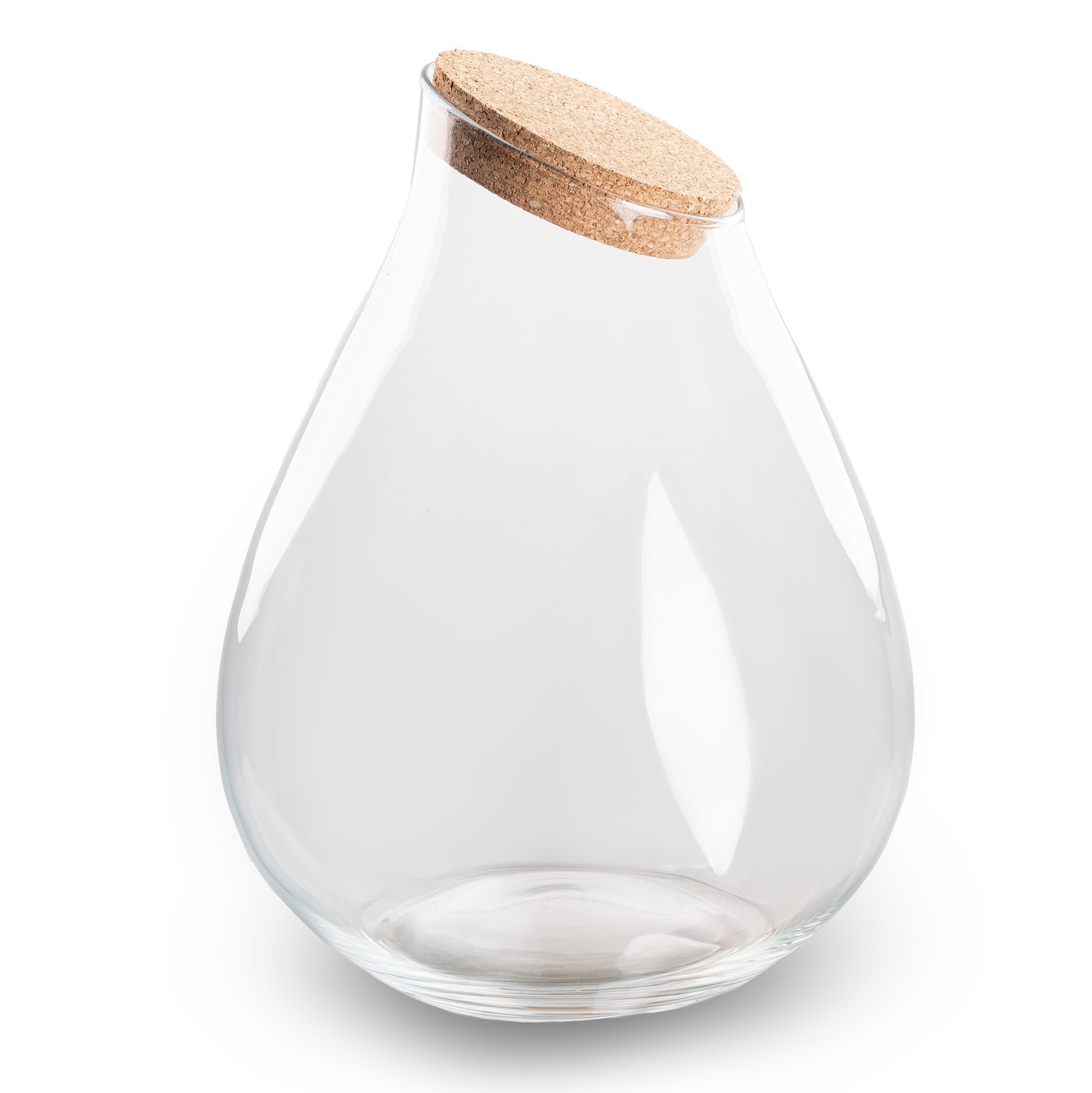 Terrarium With Cork - Drop Xxl - Closed Terrarium Bottle ↑ 43 Cm
