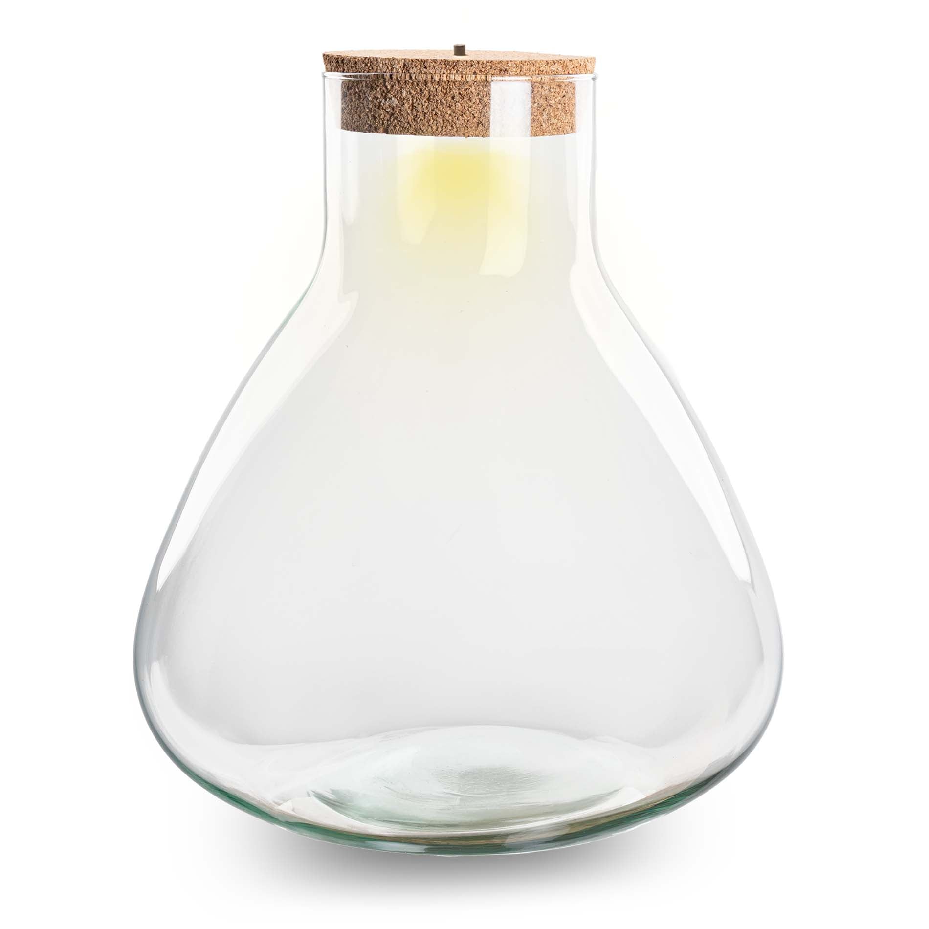 Terrarium With Cork - Sam Xl With Led Cork - ↑ 32 Cm