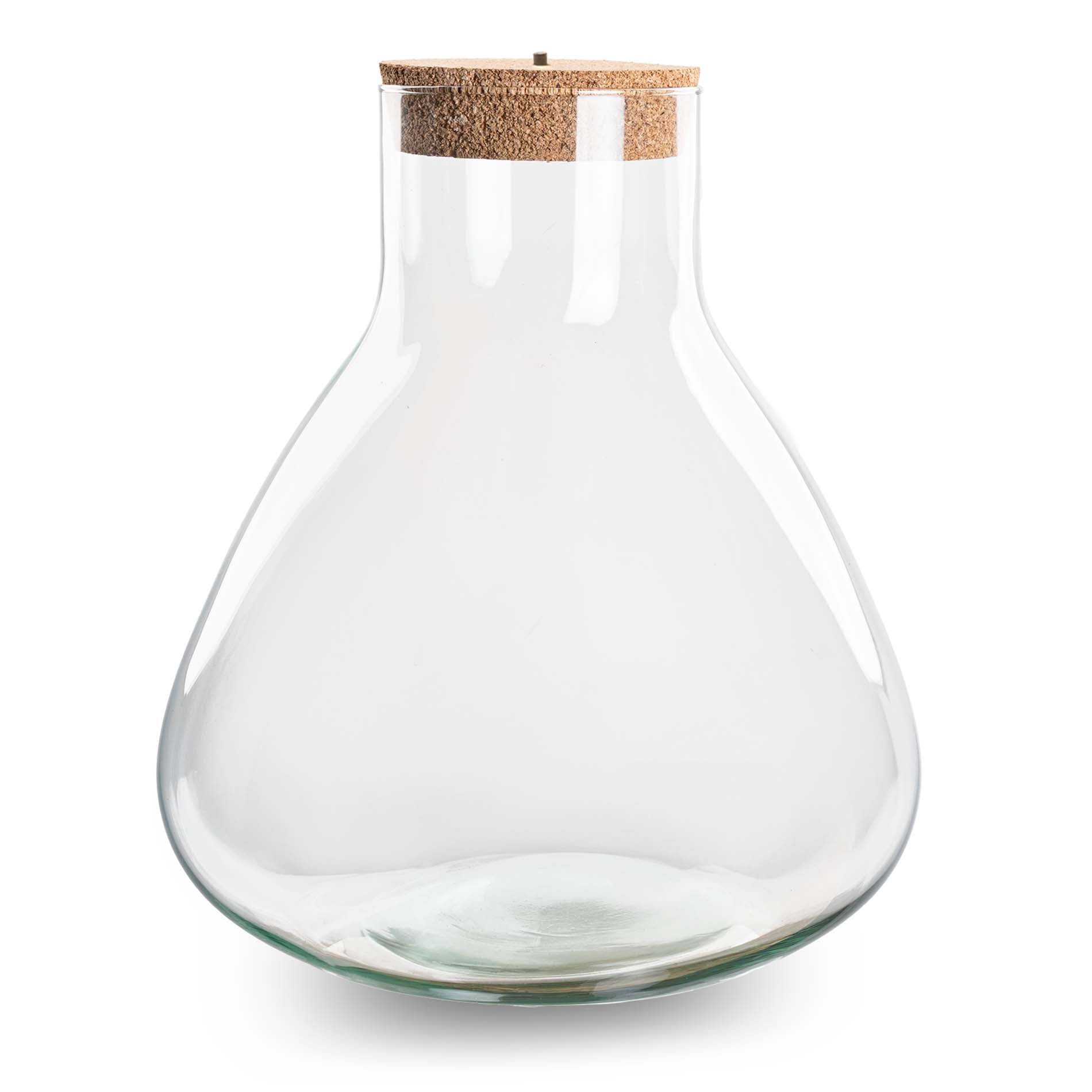 Terrarium With Cork - Sam Xl With Led Cork - ↑ 32 Cm
