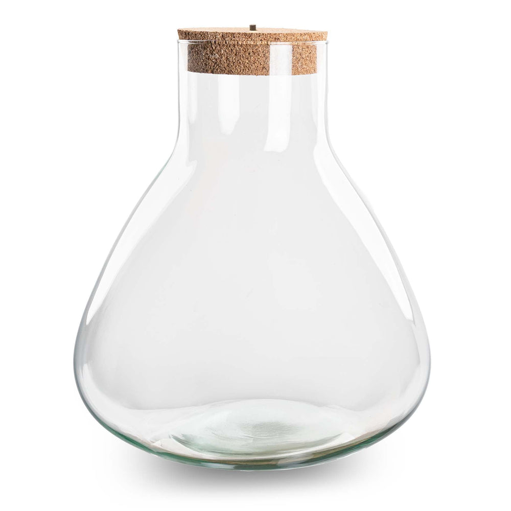 Terrarium With Cork - Sam Xl With Led Cork - ↑ 32 Cm