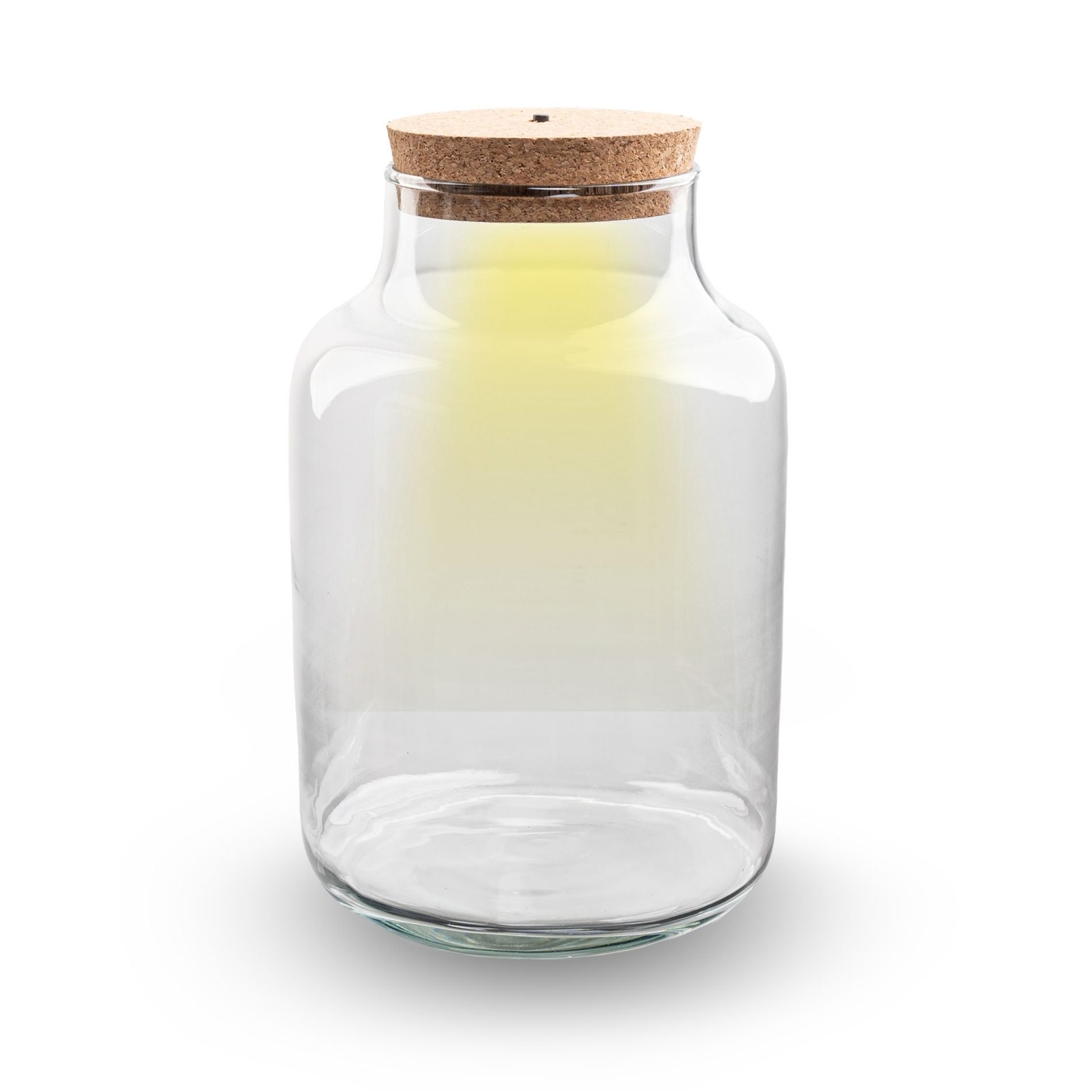 Terrarium Bottle 'Milky' With Led-Lighting - Closed Terrarium Ø 21 Cm ↑ 30 Cm