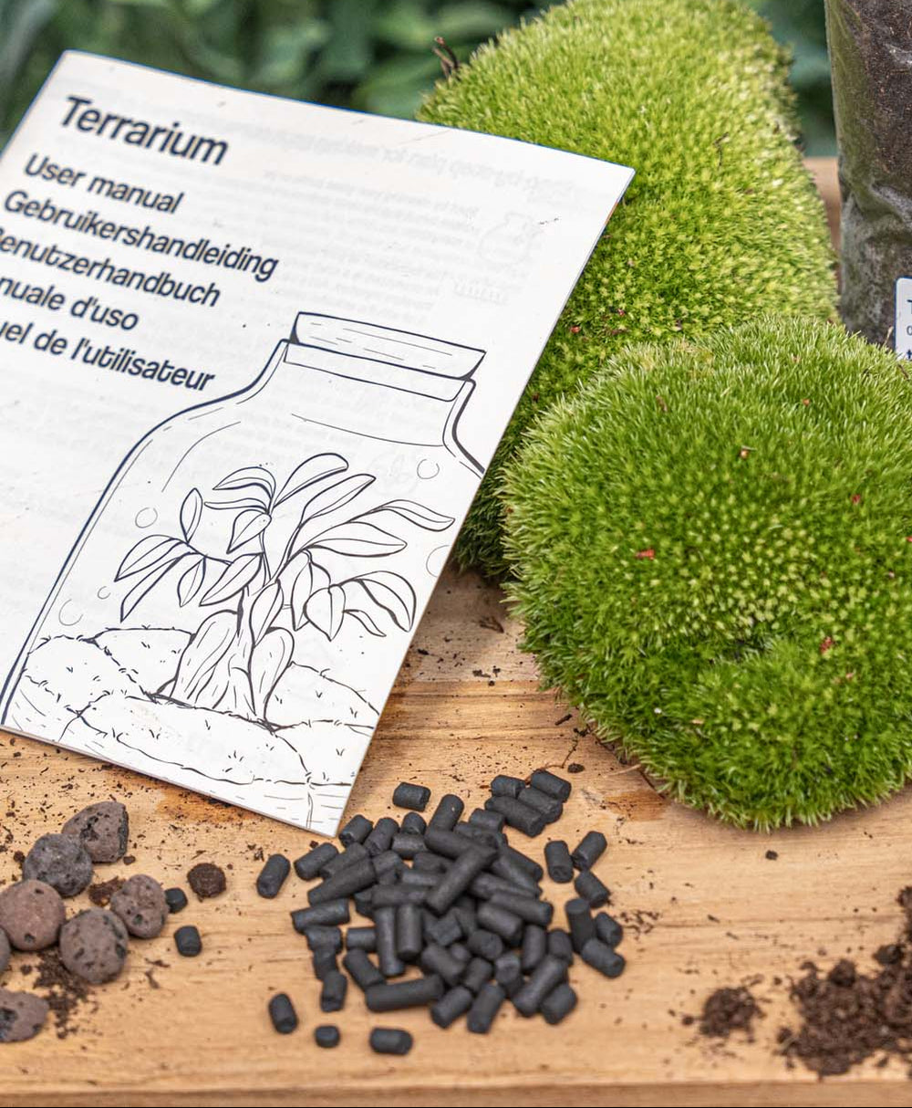 Terrarium Package  – Refill & Starter Package  – Diy Terrarium Kit – Size S/M