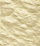 Nutribird A19 Papegaai